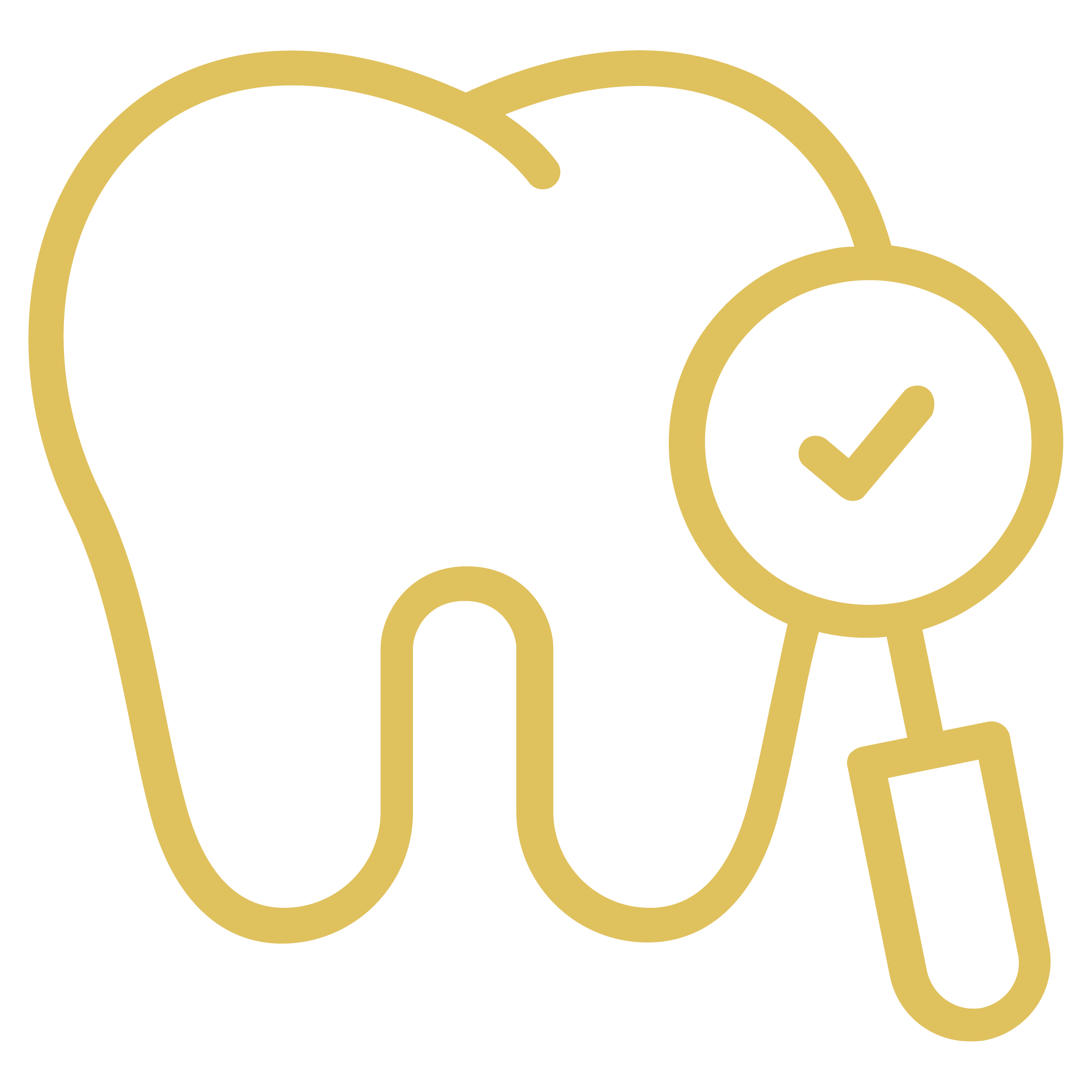 dental_dental check up-01